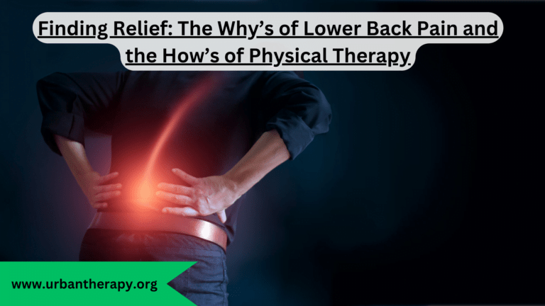 Finding Relief: The Why’s of Lower Back Pain and the How’s of Physical Therapy